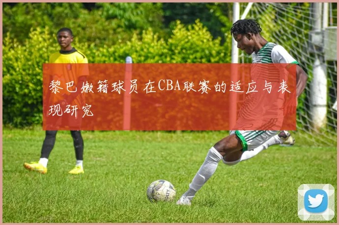 黎巴嫩籍球员在CBA联赛的适应与表现研究