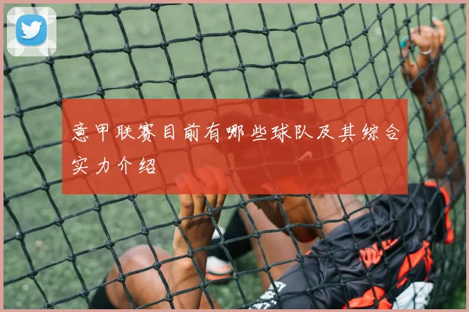 意甲联赛目前有哪些球队及其综合实力介绍