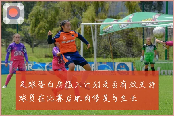 足球蛋白质摄入计划是否有效支持球员在比赛后肌肉修复与生长