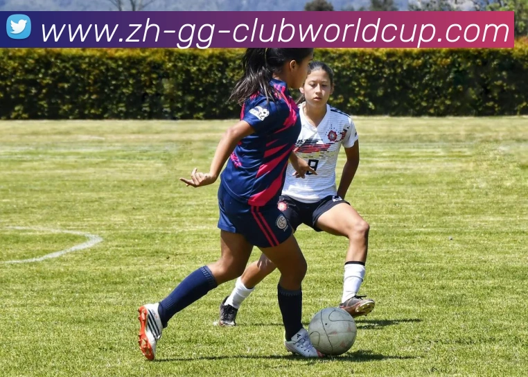 世界杯官网品牌故事