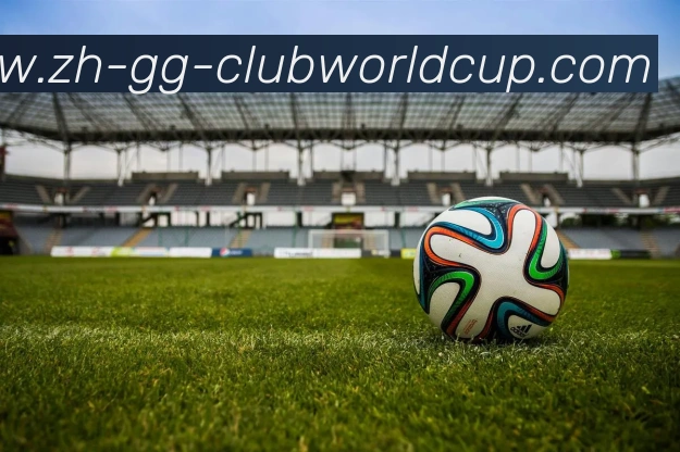 世界杯官网服务体系