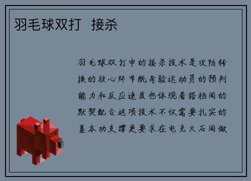羽毛球双打  接杀